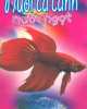 Ebook Hướng dẫn nuôi cá cảnh nước ngọt: Phần 1 - Ngọc Lan